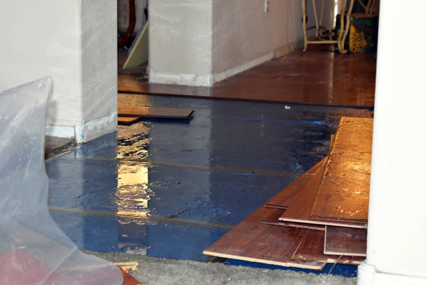 Professional Water Damage technician working in Conway, WA